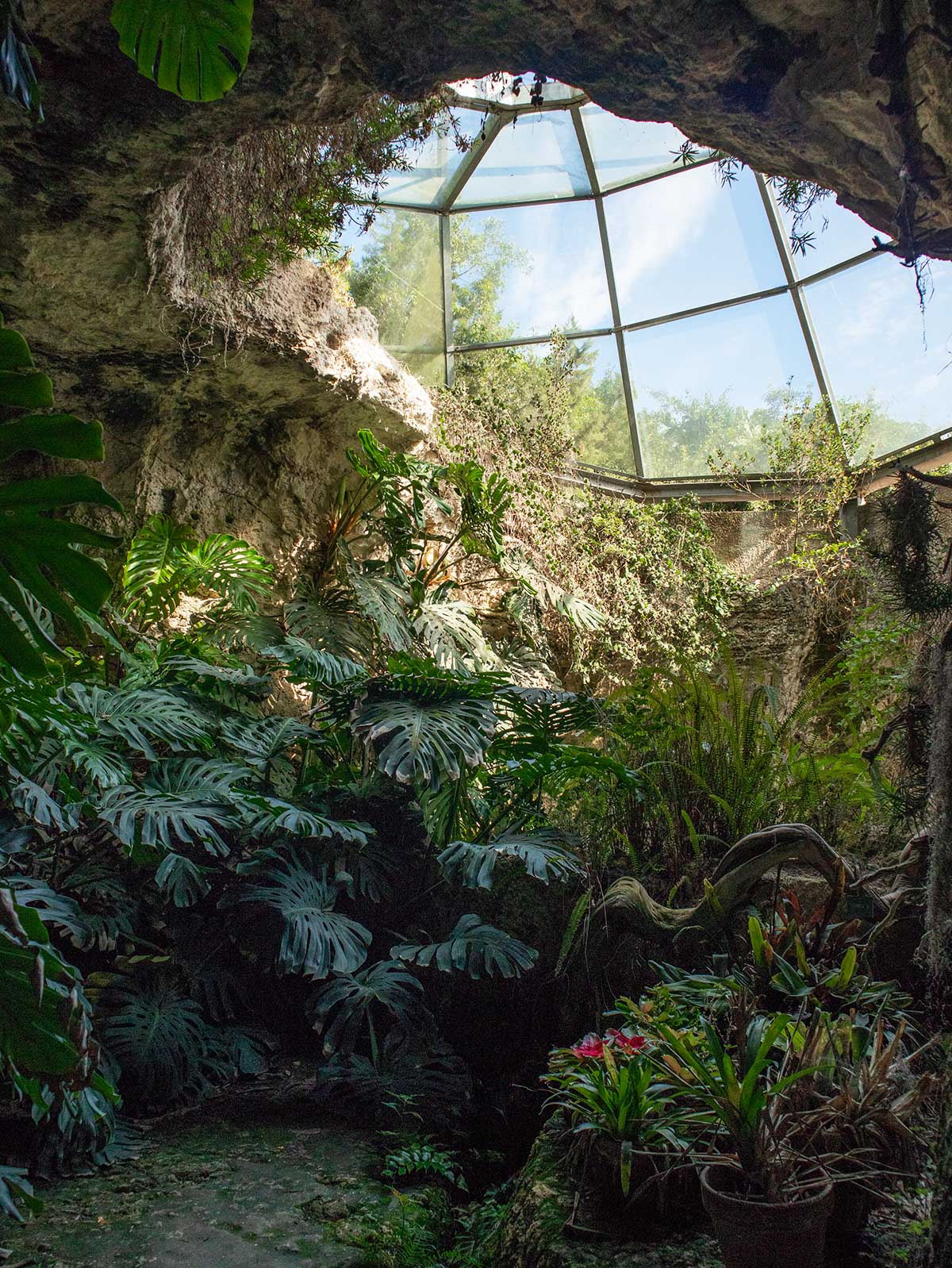 grotta gennari |orto botanico